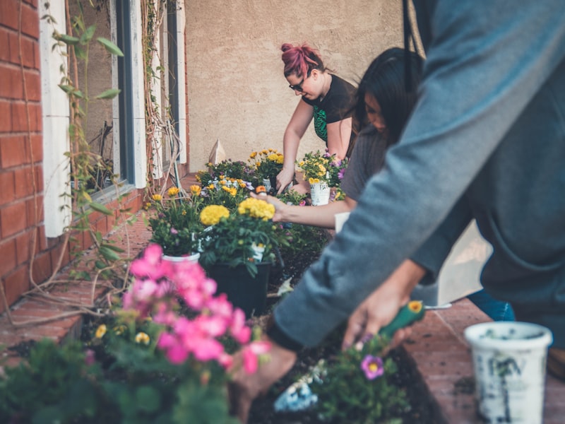 Team planting flowers in a garden bed